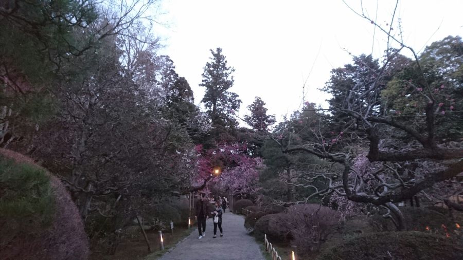 Approaching the Ko-buntei in the evening (there is a 200 yen entrance fee)